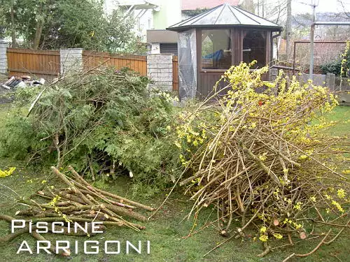 Arbusti ed alberi rimossi