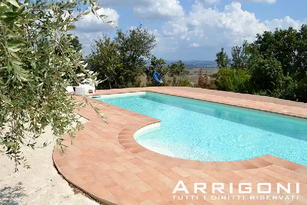 Piscina in Toscana tra gli ulivi